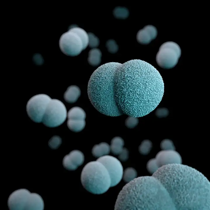 Eliminar virus, bacterias y malos olores